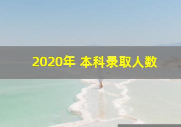 2020年 本科录取人数